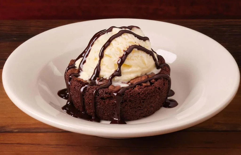 Big owl brownie on plate with chocolate topping